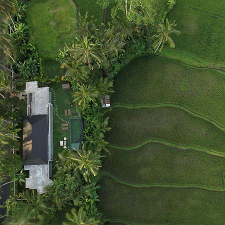 Hatiku Di Bali - Ubud Tegallalang  Exteriér fotografie